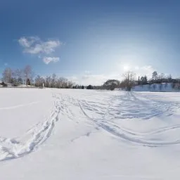 Snowy Field