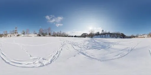Snowy Field