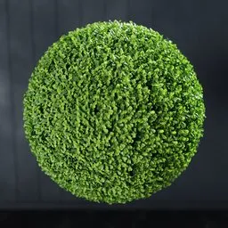 "Artificial Buxus Topiary Ball 3D Model for Blender 3D - Perfect for Bouquets and Landscapes"