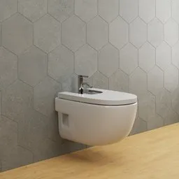 Wall hang bidet and Faucet