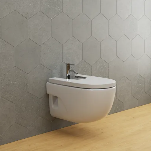 Wall hang bidet and Faucet