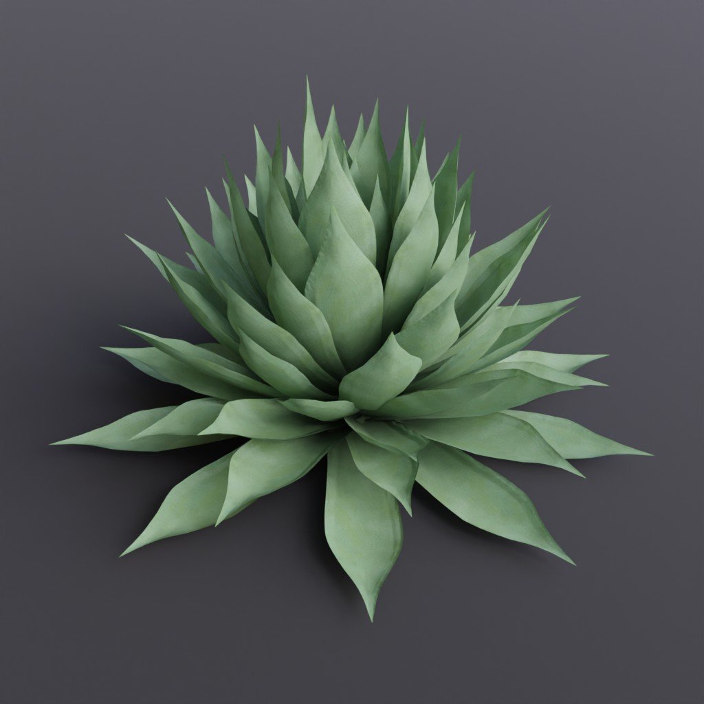 Agave parryi 244 AGAVE PARRYI ssp. NEOMEXICANA