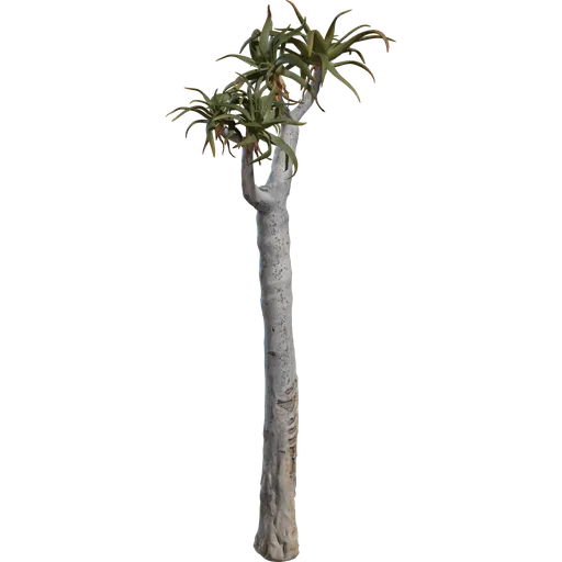 Quiver Tree