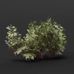 Detailed 3D bush model for Blender, ideal for game environments and realistic 3D garden scenes.