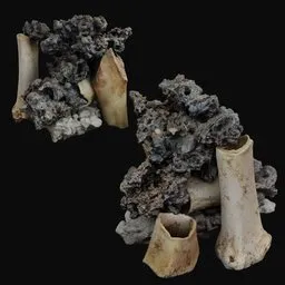 Bone and driftewood sculpture
