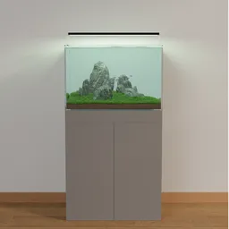 Iwagumi Tank 60L Aquascape