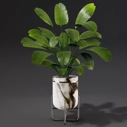 High-quality Blender 3D model of Strelitzia plant in marbled pot for interior design visualization.