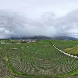 Highsky farmland green