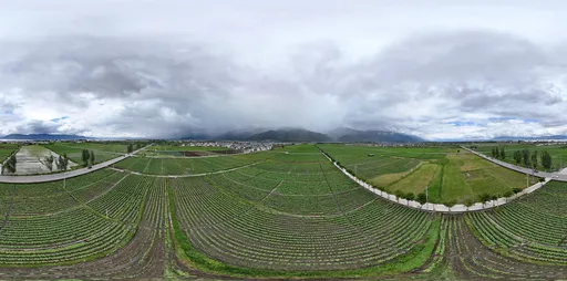Highsky farmland green
