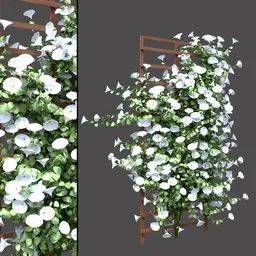 White Flower Trellis
