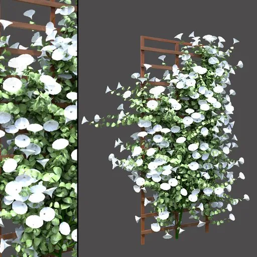 White Flower Trellis