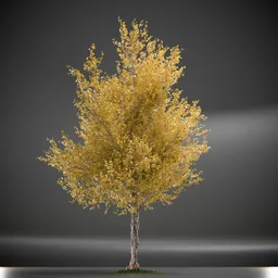 Tree Princeton Sentry Animated