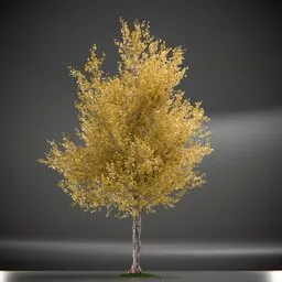 Tree Princeton Sentry Animated