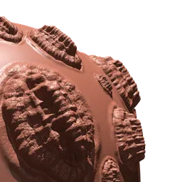 Large Rounded Dragon Scale