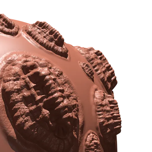 Large Rounded Dragon Scale