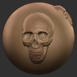 Skull Perspective