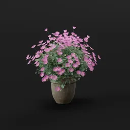 Pink Daisy Pot