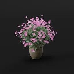 Pink Daisy Pot