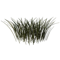 Simple Grass Patch
