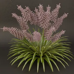 SJ-Lunar Glow Bush
