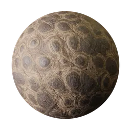 Crocodile skin
