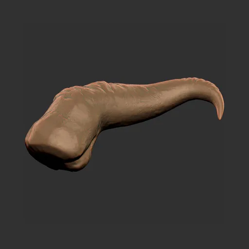 Crooked Beast Horn