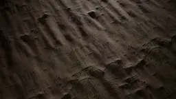 Michelia champaca Bark