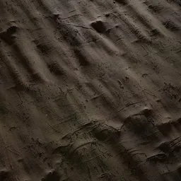 Michelia champaca Bark