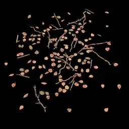 Natural Ground Debris
