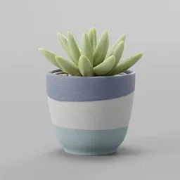 "3D model of Sedum pachyphyllum plant in a blue and white striped pot, created using Blender 3D software. Focused on small scale, teal color grading, and clean enamel finish."