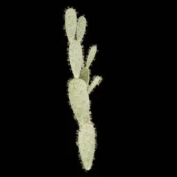 Realistic Cactus