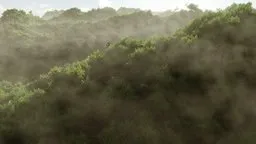 "Realistic 3D-rendered forest scene with dynamic lighting and shadows for Blender artists"