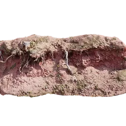 "Discover the stunning 'Overhang with Roots Gravel PBR Scan' 3D model for Blender 3D, featuring intricate erosion algorithm landscapes, submerged roots, and red sandstone natural sculptures. Enhance your render with detailed displacement and Subdivision modification. Perfect for environmental design and trending in speculative futures."