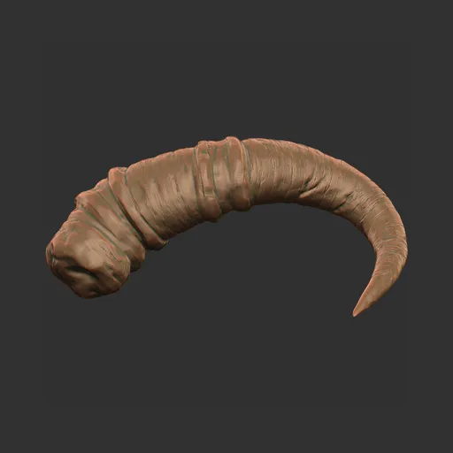 Short Hook Horn