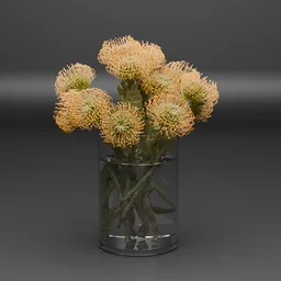 Leucospermum Flower Vase