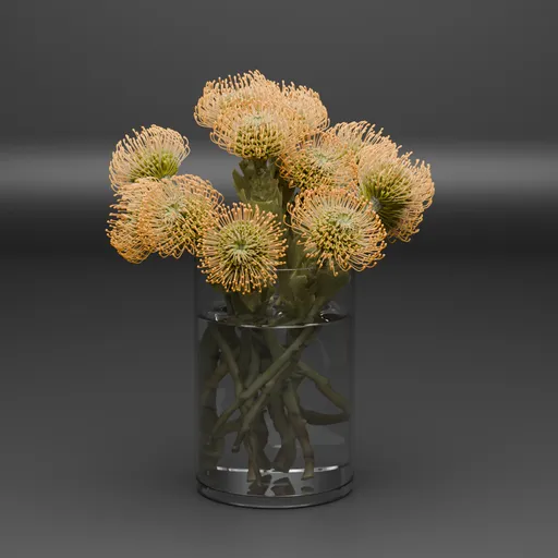 Leucospermum Flower Vase