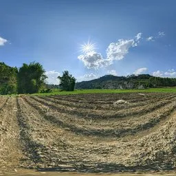 Daytime dealer land