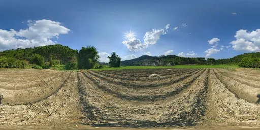 Daytime dealer land