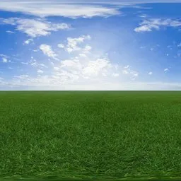 Green grass cloudy blue sky pure sky