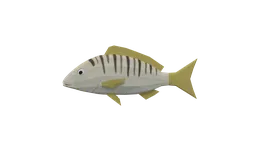 Optimized low-poly Blender 3D model of a Striped Seabream, suitable for CG visualizations and virtual environments.