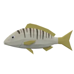 Low Poly Animated Striped Seabream
