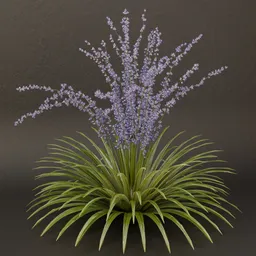 SJ-Soft Murmur Shrub