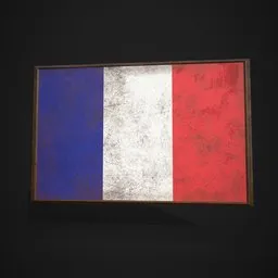 France Flag Picture Frame
