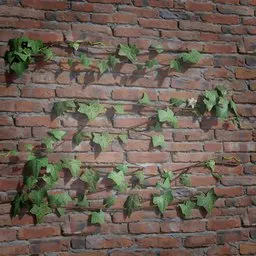 Realistic 3D ivy creeper asset on brick wall for virtual environments, optimized for Blender integration.