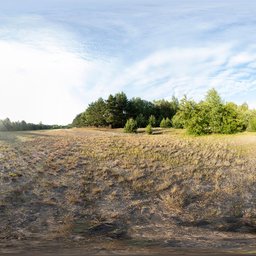 Bright 17k HDR image of a sunny Polish field with clear sky, perfect for realistic lighting in 3D scenes.