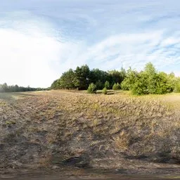 Sunny field, 17k, unclipped