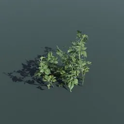 3D model of a realistic small wild raspberry plant suitable for architectural visualization and gaming.