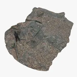 Photorealistic 3D forest ground leaf debris with high-quality 4k textures, ideal for Blender landscapes.