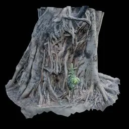 Uprooted tree trunk