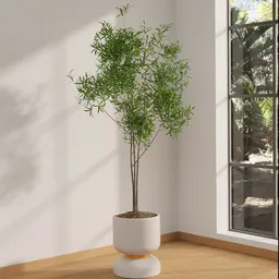 Slender Leaf Indoor Decorative Tree